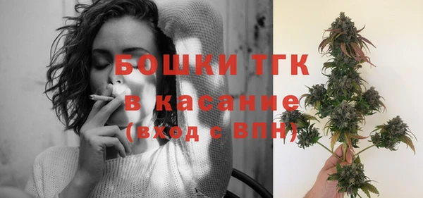 шишки Александровское